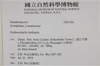 館號:F0035261藏品圖，第2張