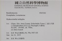 登錄號:F0035262藏品圖，第2張