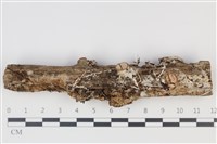 登錄號:F0035262藏品圖，第1張