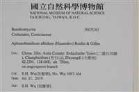 登錄號:F0035263藏品圖，第2張