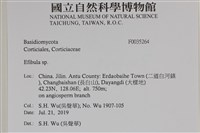 登錄號:F0035264藏品圖，第2張
