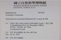 登錄號:F0035265藏品圖，第2張