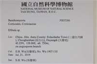 登錄號:F0035266藏品圖，第2張