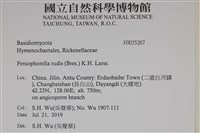 登錄號:F0035267藏品圖，第2張