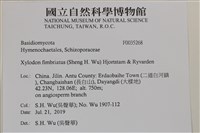 登錄號:F0035268藏品圖，第2張