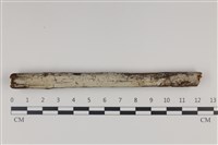 登錄號:F0035268藏品圖，第1張