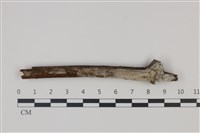 登錄號:F0035273藏品圖，第1張
