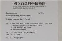 登錄號:F0035274藏品圖，第2張