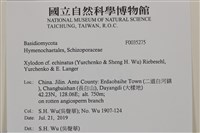 登錄號:F0035275藏品圖，第2張