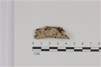 登錄號:F0035275藏品圖，第1張