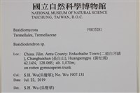 登錄號:F0035281藏品圖，第2張