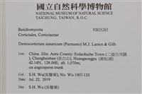 登錄號:F0035283藏品圖，第2張