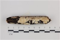 登錄號:F0035283藏品圖，第1張