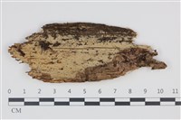 登錄號:F0035284藏品圖，第1張