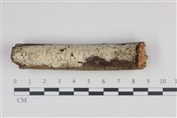 登錄號:F0035286藏品圖，第1張