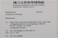 登錄號:F0035287藏品圖，第2張
