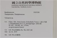 登錄號:F0035288藏品圖，第2張