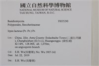 登錄號:F0035290藏品圖，第2張