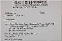 登錄號:F0035291藏品圖，第2張