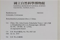 登錄號:F0035292藏品圖，第2張