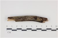 登錄號:F0035292藏品圖，第1張