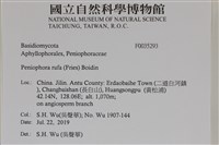 登錄號:F0035293藏品圖，第2張