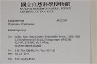 登錄號:F0035294藏品圖，第2張