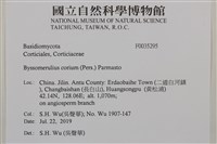 登錄號:F0035295藏品圖，第2張