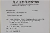 登錄號:F0035297藏品圖，第2張