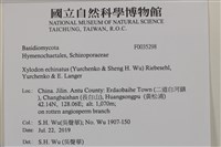 登錄號:F0035298藏品圖，第2張