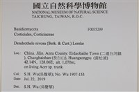 登錄號:F0035299藏品圖，第2張
