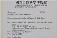 登錄號:F0035301藏品圖，第2張