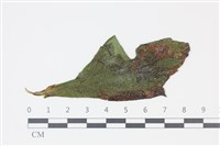 登錄號:F0035301藏品圖，第1張