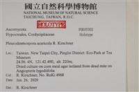 登錄號:F0035302藏品圖，第2張