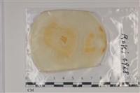 登錄號:F0035302藏品圖，第1張