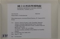 登錄號:F0035303藏品圖，第2張