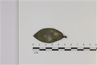 登錄號:F0035303藏品圖，第4張