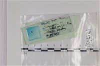 登錄號:F0035303藏品圖，第5張