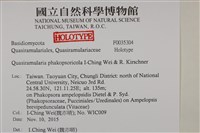 登錄號:F0035304藏品圖，第2張