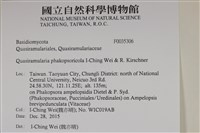 登錄號:F0035306藏品圖，第2張