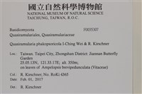 登錄號:F0035307藏品圖，第2張