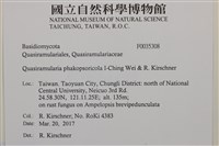 登錄號:F0035308藏品圖，第2張