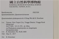 登錄號:F0035309藏品圖，第2張