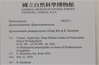 登錄號:F0035311藏品圖，第2張