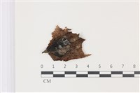 登錄號:F0035313藏品圖，第3張