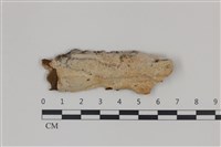 登錄號:F0035318藏品圖，第1張
