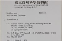 刺皮菌屬藏品圖，第2張