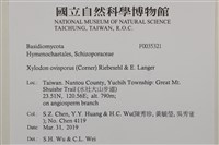 登錄號:F0035321藏品圖，第2張
