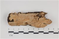 登錄號:F0035321藏品圖，第1張