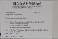 登錄號:F0035322藏品圖，第2張